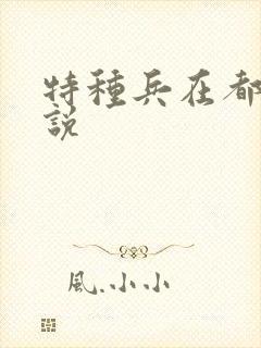 特种兵在都市小说