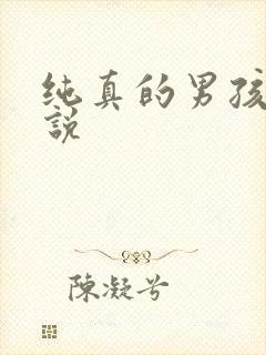 纯真的男孩子小说