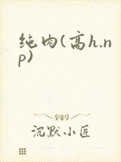 纯肉(高h.np)