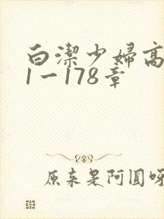 白洁少妇高义第1一178章