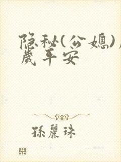 隐秘(公媳)岁岁平安封面