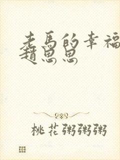 老马的幸福生活赵思思