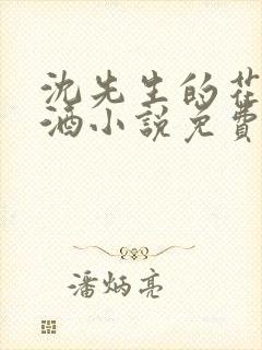 沈先生的花式调酒小说免费阅读