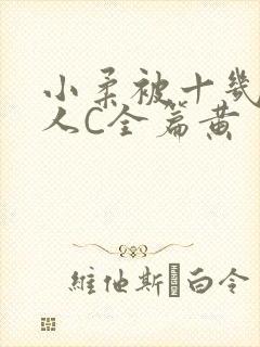 小柔被十几个男人C全篇黄封面