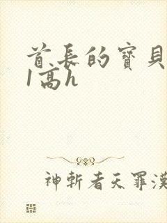 首长的宝贝1v1高h封面