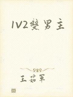 1V2双男主