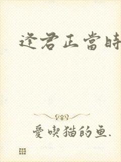 逢君正当时封面