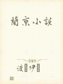 兰京小说