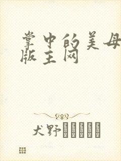 掌中的美母第一版主网