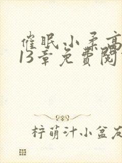 催眠小柔高达第13章免费阅读