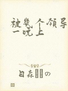 被几个领导玩弄一晚上