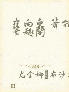 崔向东 萧错 笔趣阁