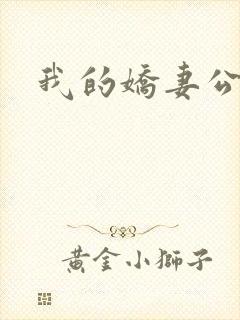 我的娇妻公务员