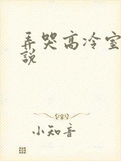 弄哭高冷室友小说