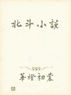 北斗小说