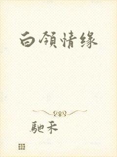 白领情缘