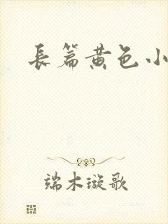 长篇黄色小说封面