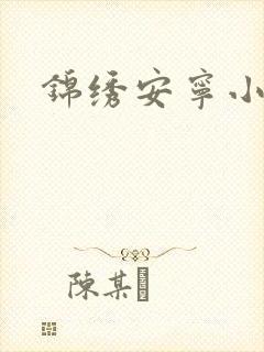 锦绣安宁小说