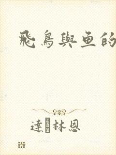 飞鸟与鱼的故事