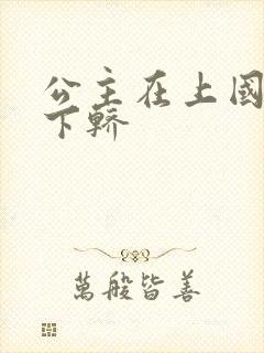 公主在上国师请下轿封面