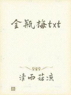 金瓶梅txt