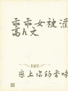 乖乖女被灌满精高h文