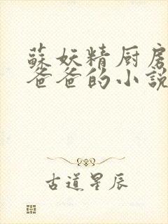 苏妖精厨房爹爹爸爸的小说封面