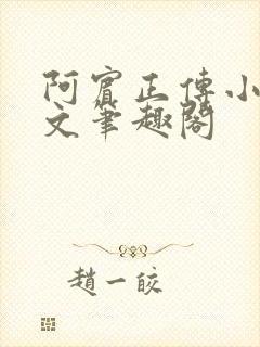 阿宾正传小说全文笔趣阁