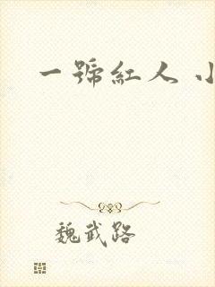 一号红人 小说封面