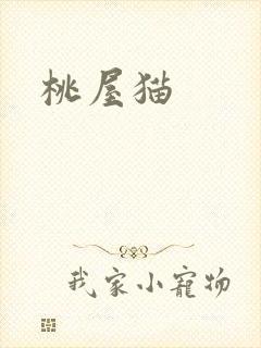 桃屋猫