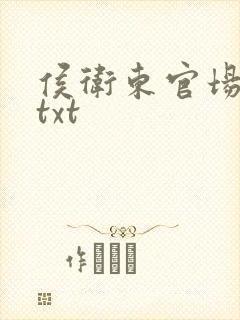 侯卫东官场笔记txt封面