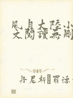 风月大陆小说全文阅读无删减