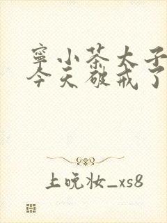 宁小茶太子殿下今天破戒了吗免费阅读