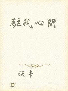 驻我心间封面