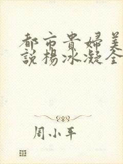 都市贵妇美腿小说杨冰凝全文阅读