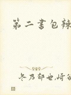第二书包辣文封面