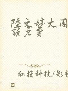 陆文婷大团圆小说免费