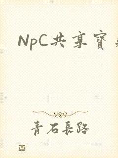 NpC共享宝贝