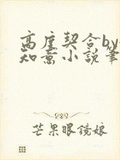 高度契合by洛知意小说笔趣阁无弹窗封面