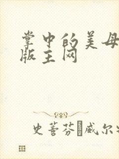 掌中的美母第一版主网