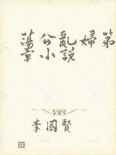 荡公乱妇第51章小说