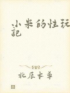 小米的性玩具日记封面