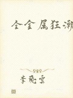 全金属狂潮小说