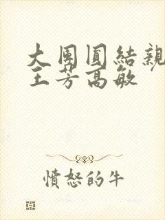 大团圆结亲情会王芳高敏封面