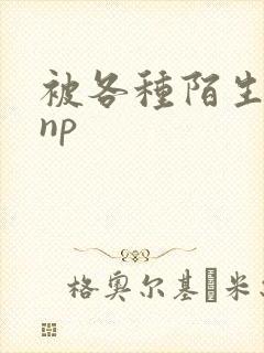 被各种陌生人 np