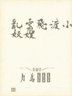 乱云飞渡小说之姣嫂