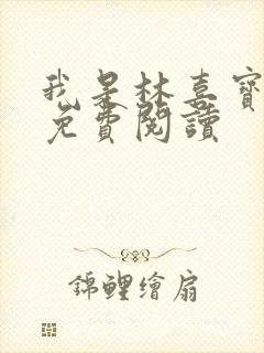 我是林喜宝小说免费阅读封面