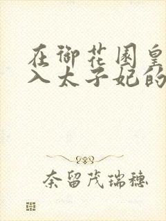 在御花园皇上进入太子妃的小说封面