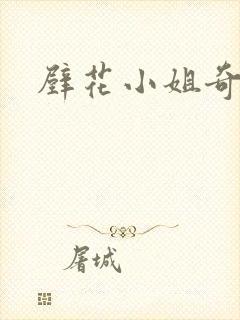 壁花小姐奇遇记