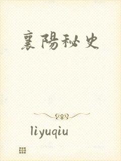 襄阳秘史